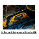 ROLES AND RESPONSIBILITIES IN ISP – L1 EXECUTIVE